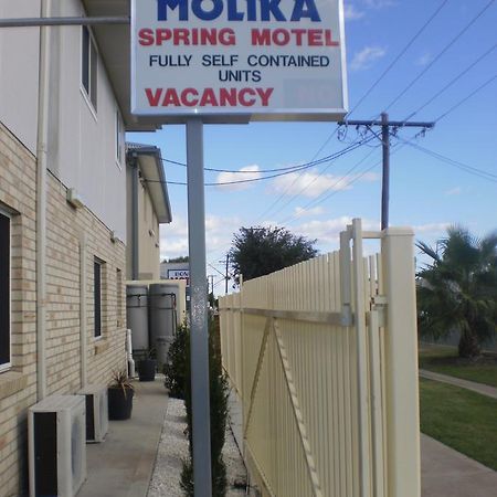 Molika Springs Motel Moree Exterior photo